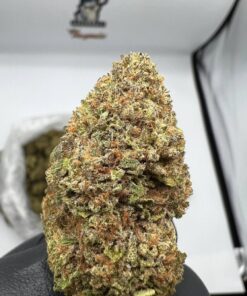 Banana Zstar