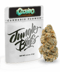Jungle Boys Packs