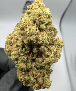 Lemon Kush