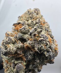 Lil Uzi Purp