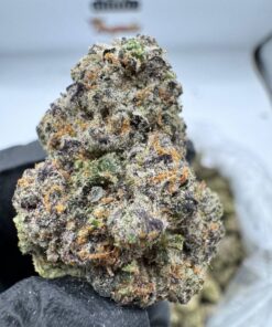 Purple Slut