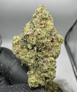 Grape Stomper
