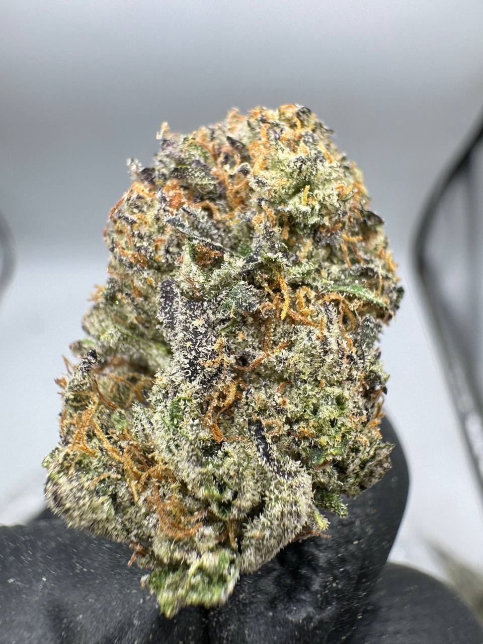 Truffle coco - Image 2