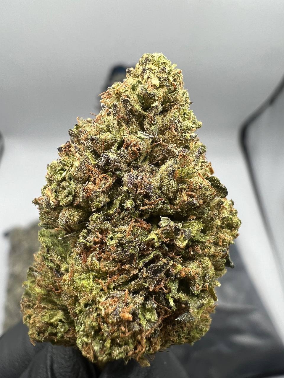 Cherry pie - Image 2