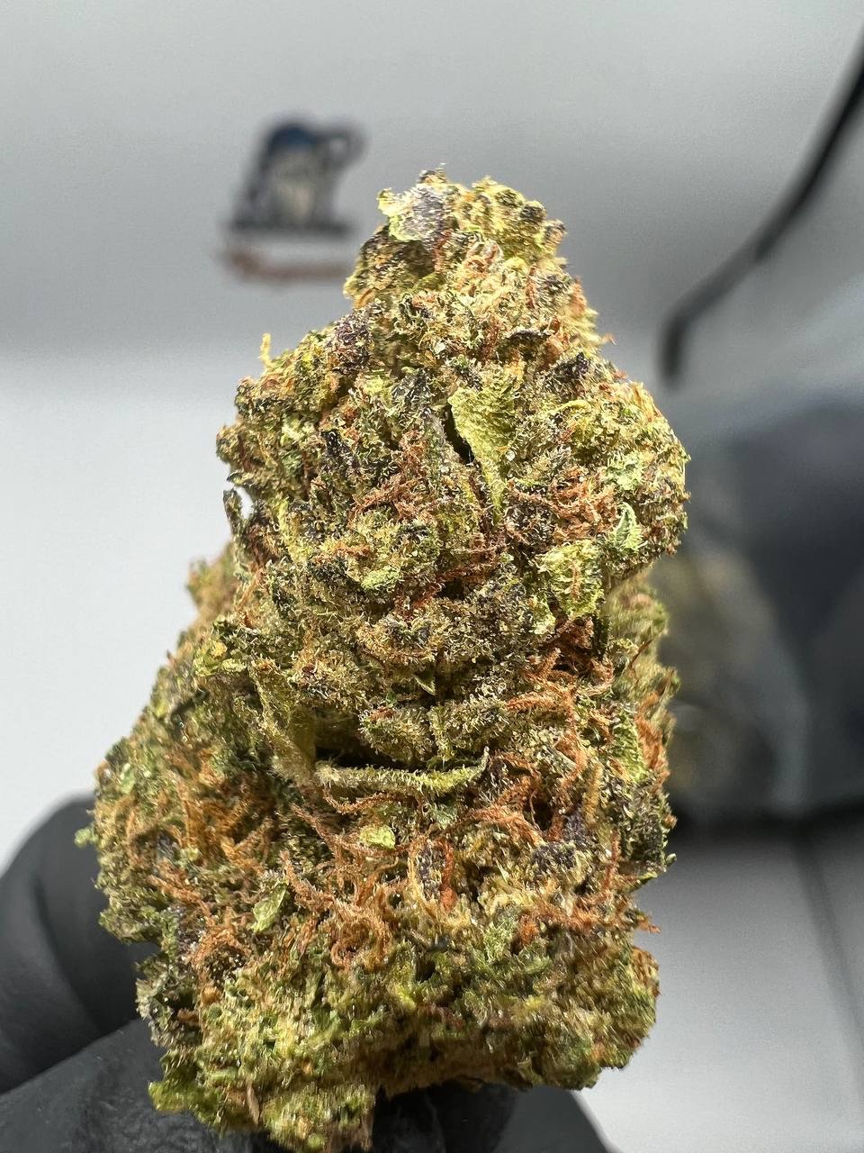 Cherry pie