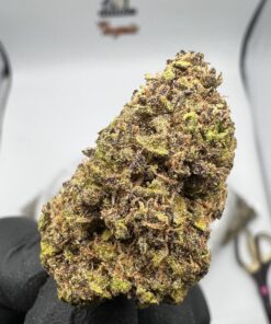 Blueberry