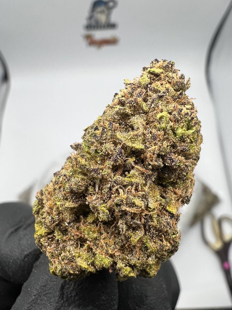 Blueberry