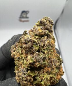 DOUGHBOYZ Purple Train Wreck