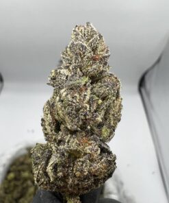 Buy Taffy Runtz Strain