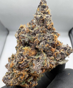 Buy Super Silver Haze strain