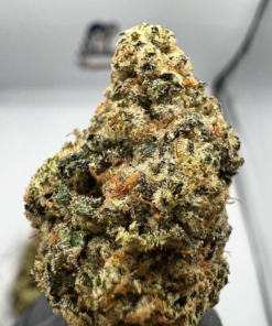 Buy Critical Mass Strain