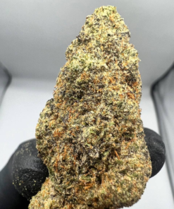 Buy Lemon Cane Strain