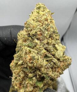 Buy Lavender Skunk