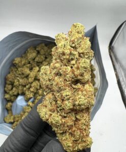 Buy Marshmallow Strain