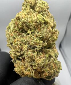 Buy Mango Kush Online