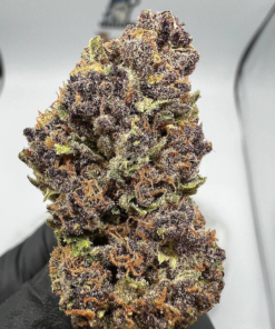 Buy Tahquitz strain