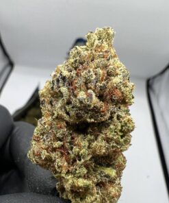 Buy Birthday Cake strain